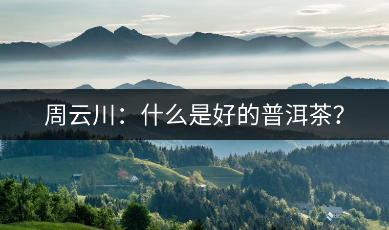 周云川：什么是好的普洱茶？