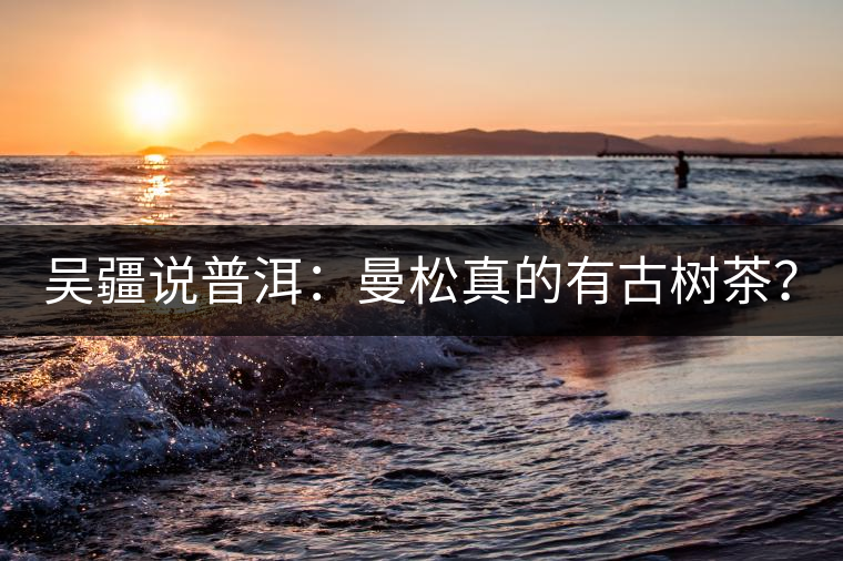 吳疆說普洱：曼松真的有古樹茶？