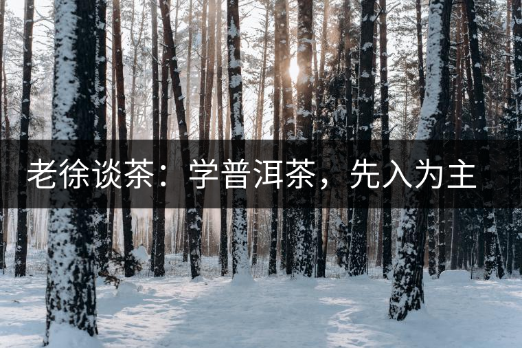 老徐談茶：學普洱茶，先入為主易被打臉，還得實踐出真知！