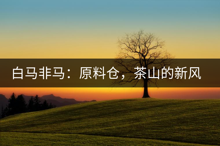 白馬非馬：原料倉，茶山的新風景