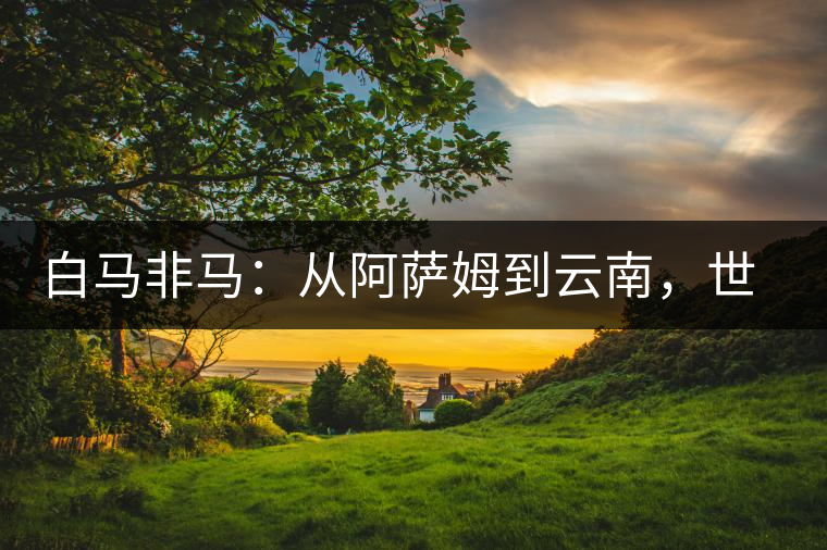 白馬非馬：從阿薩姆到云南，世界茶樹(shù)起源爭(zhēng)論的誤區(qū)