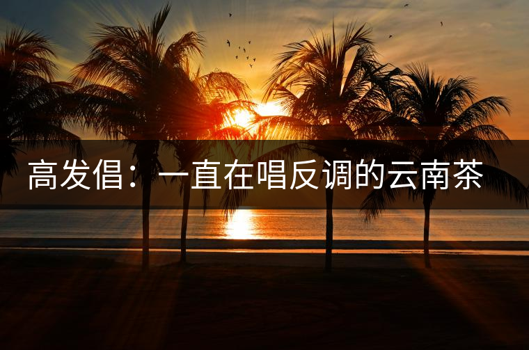 高發(fā)倡：一直在唱反調的云南茶人