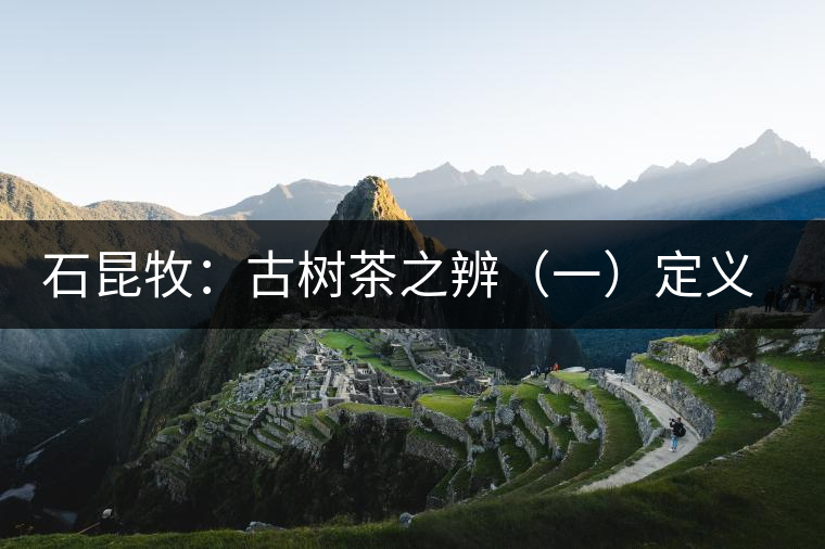 石昆牧:古樹(shù)茶之辨(一)定義厘清 石昆牧:古樹(shù)茶之辨(一)定義厘清