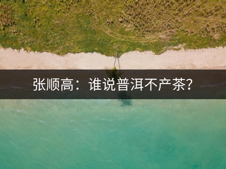 張順高：誰說普洱不產(chǎn)茶？