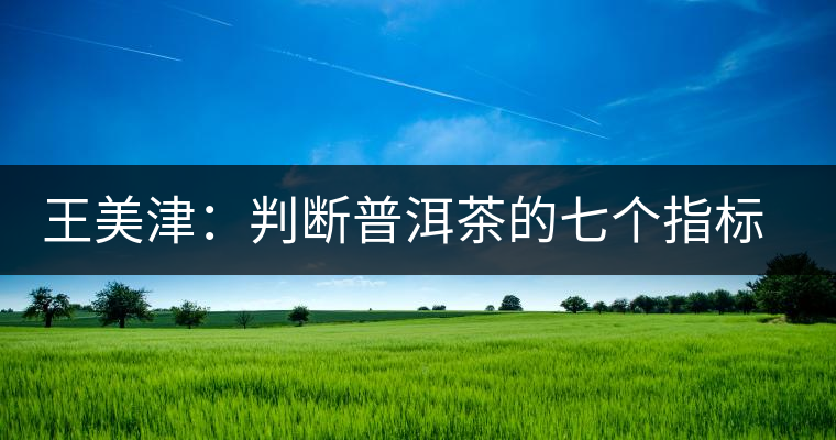 王美津:判斷普洱茶的七個指標 之形 王美津:判斷普洱茶的七個指標 之形