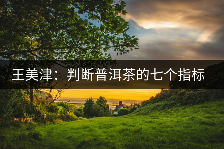 王美津：判斷普洱茶的七個(gè)指標(biāo) 之色、香、味