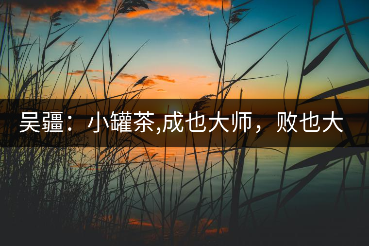 吳疆：小罐茶,成也大師，敗也大師