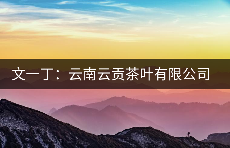 文一?。涸颇显曝暡枞~有限公司總經(jīng)理 文一丁:云南云貢茶葉有限公司總經(jīng)理