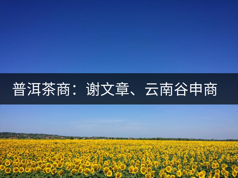 普洱茶商：謝文章、云南谷申商貿(mào)有限公司總經(jīng)理