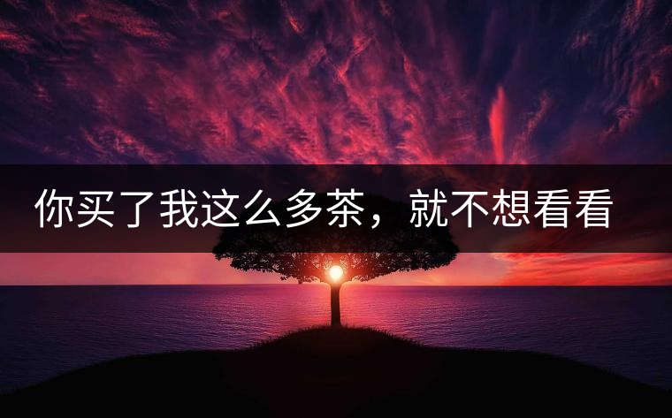 你買(mǎi)了我這么多茶，就不想看看我長(zhǎng)什么樣？