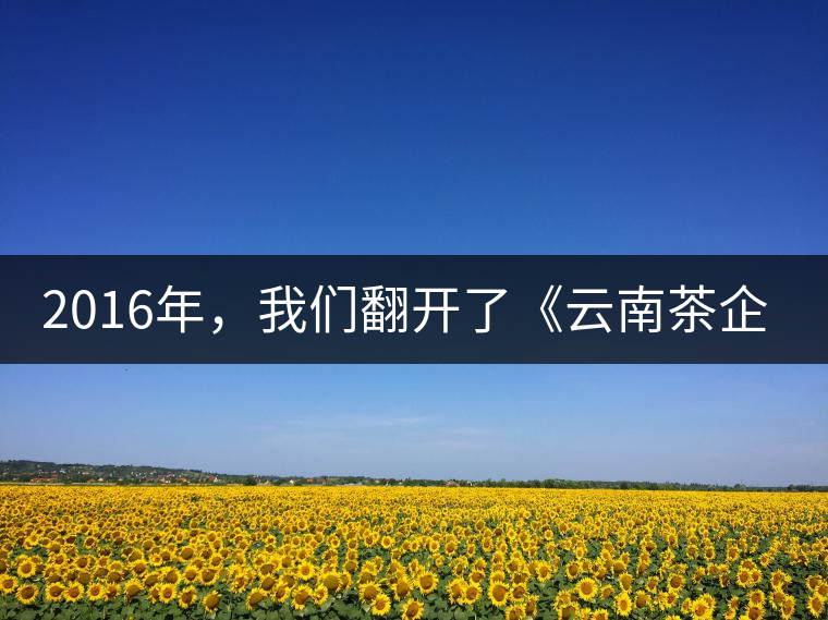 2016年，我們翻開了《云南茶企發(fā)展白皮書》