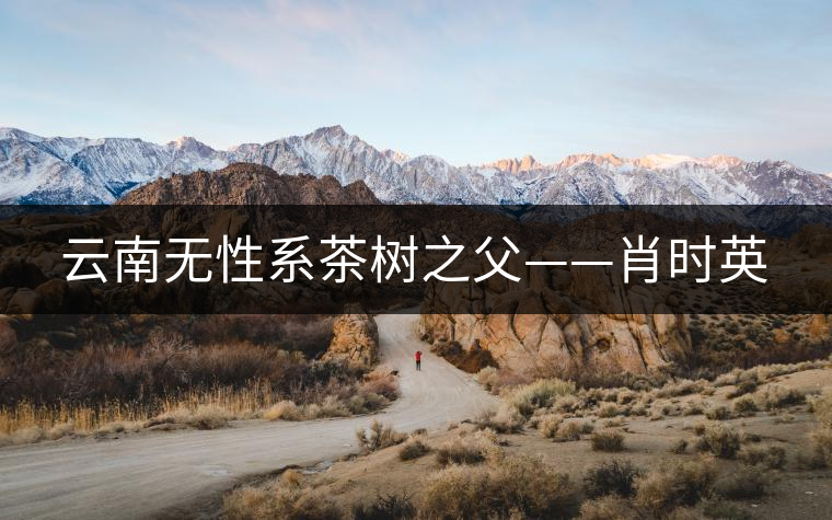 云南無性系茶樹之父——肖時(shí)英 云南無性系茶樹之父——肖時(shí)英