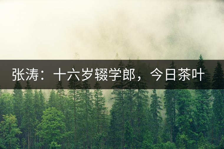 張濤：十六歲輟學(xué)郎，今日茶葉中堅(jiān)