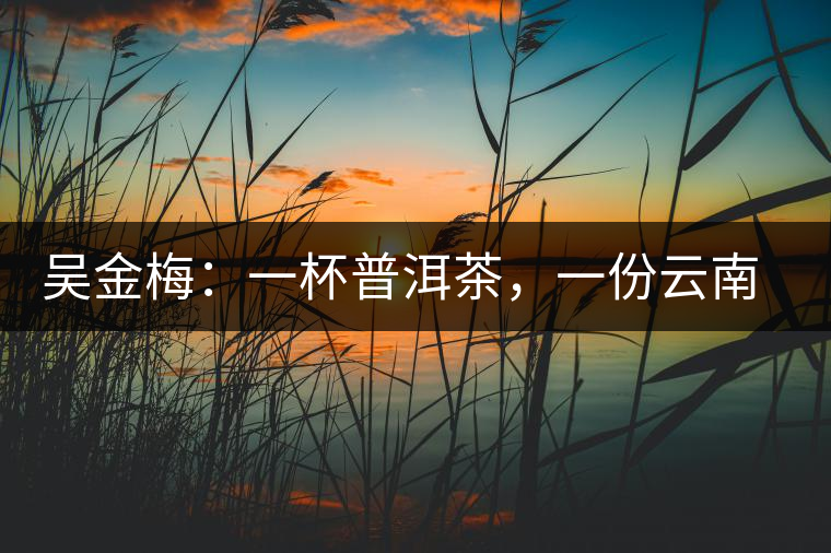 吳金梅：一杯普洱茶，一份云南情