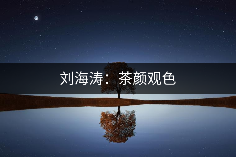 劉海濤:茶顏觀色 劉海濤:茶顏觀色
