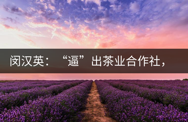 閔漢英：“逼”出茶業(yè)合作社，帶領(lǐng)村民走上致富路