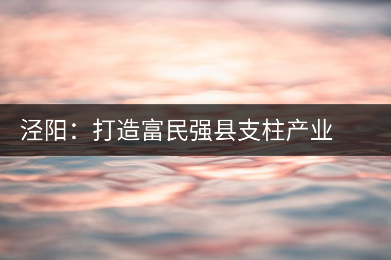 涇陽：打造富民強(qiáng)縣支柱產(chǎn)業(yè)  ——訪陜西省涇陽縣副縣長(zhǎng)謝保衛(wèi)
