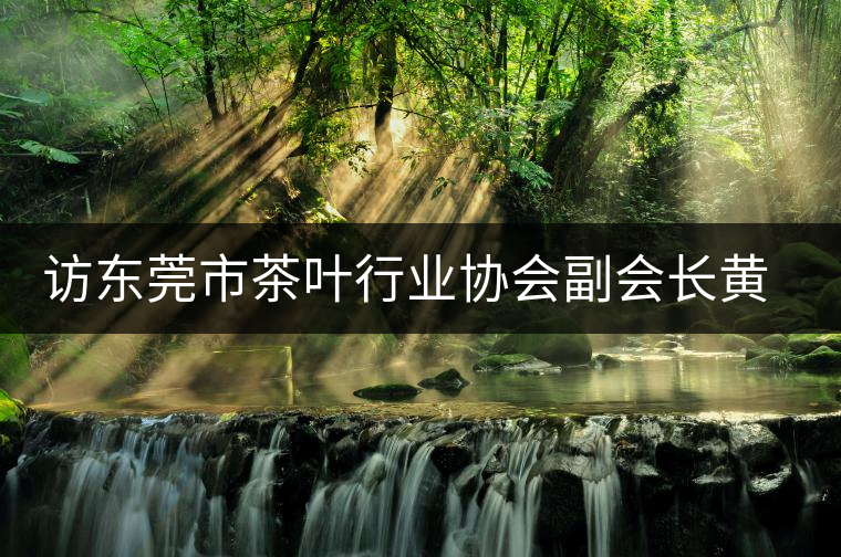 訪東莞市茶葉行業(yè)協(xié)會(huì)副會(huì)長(zhǎng)黃志芳