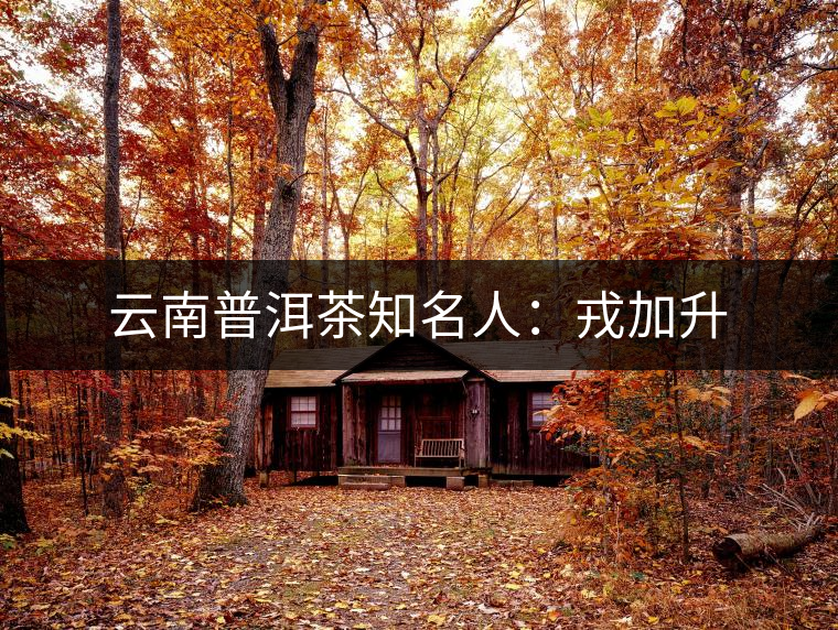 云南普洱茶知名人:戎加升 云南普洱茶知名人:戎加升