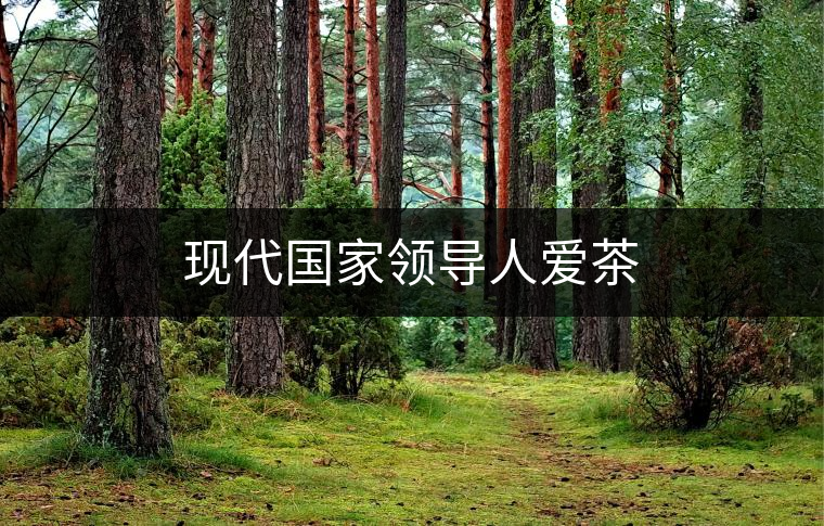 現(xiàn)代國家領(lǐng)導(dǎo)人愛茶 現(xiàn)代國家領(lǐng)導(dǎo)人愛茶