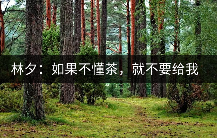 林夕：如果不懂茶，就不要給我送茶