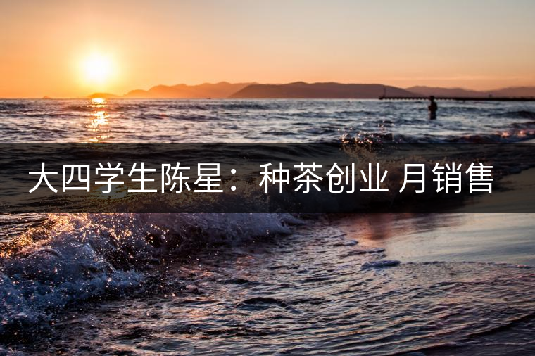 大四學(xué)生陳星:種茶創(chuàng)業(yè) 月銷(xiāo)售額超五十萬(wàn) 大四學(xué)生陳星:種茶創(chuàng)業(yè) 月銷(xiāo)售額超五十萬(wàn)