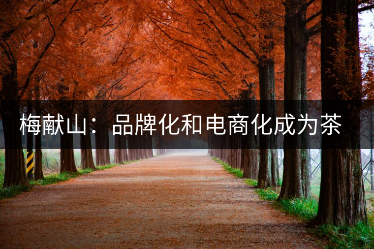 梅獻(xiàn)山:品牌化和電商化成為茶產(chǎn)業(yè)的第三個(gè)轉(zhuǎn)機(jī) 梅獻(xiàn)山:品牌化和電商化成為茶產(chǎn)業(yè)的第三個(gè)轉(zhuǎn)機(jī)