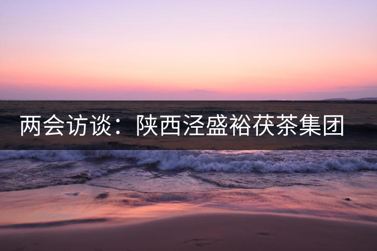 兩會(huì)訪(fǎng)談:陜西涇盛裕茯茶集團(tuán)董事長(zhǎng)馬恒光 兩會(huì)訪(fǎng)談:陜西涇盛裕茯茶集團(tuán)董事長(zhǎng)馬恒光