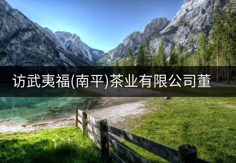 訪武夷福(南平)茶業(yè)有限公司董事長張敏瓊 訪武夷福(南平)茶業(yè)有限公司董事長張敏瓊