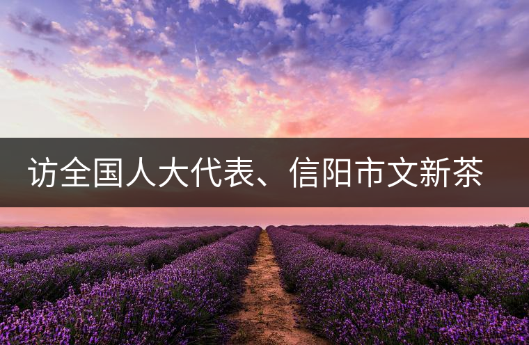 訪全國人大代表、信陽市文新茶葉有限責(zé)任公司董事長劉文新