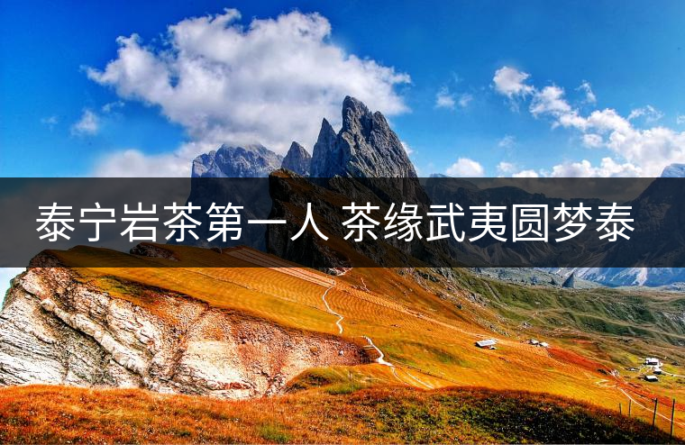 泰寧巖茶第一人 茶緣武夷圓夢泰寧