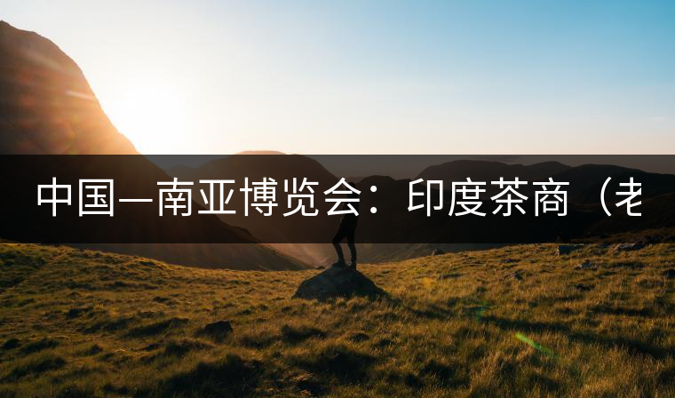 中國—南亞博覽會：印度茶商（老羅）暢談茶葉生意經(圖)