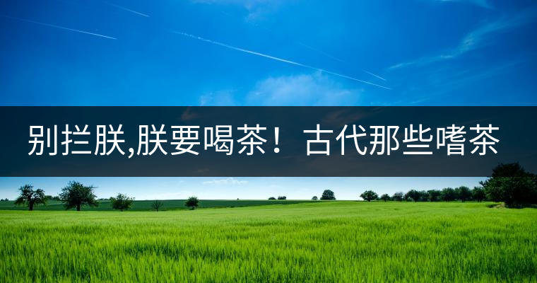 別攔朕,朕要喝茶！古代那些嗜茶如命的皇帝