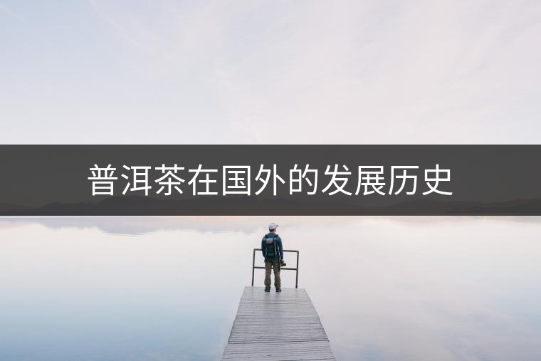 普洱茶在國(guó)外的發(fā)展歷史 普洱茶在國(guó)外的發(fā)展歷史