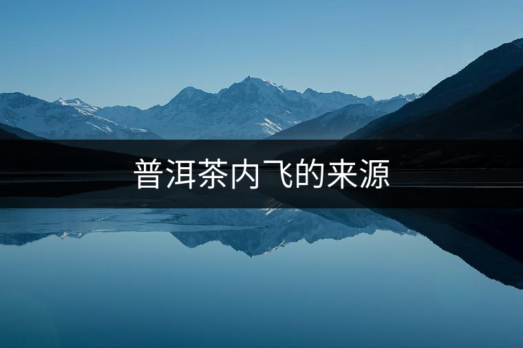 普洱茶內(nèi)飛的來(lái)源 普洱茶內(nèi)飛的來(lái)源