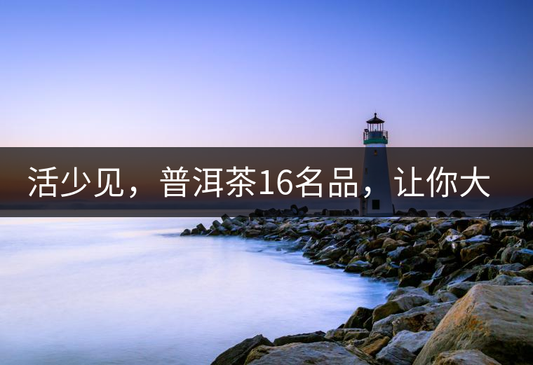 活少見，普洱茶16名品，讓你大開眼界