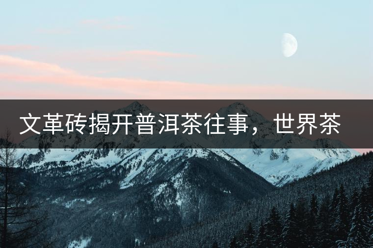 文革磚揭開普洱茶往事，世界茶文化交流協(xié)會成員共品經(jīng)典文革磚！