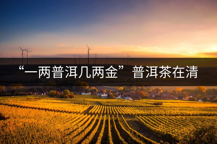 “一兩普洱幾兩金”普洱茶在清代為啥這么火？！