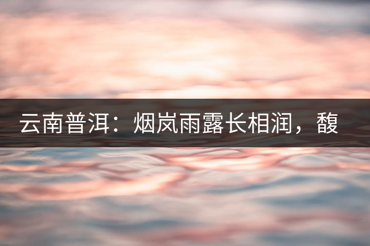 云南普洱：煙嵐雨露長(zhǎng)相潤(rùn)，馥郁芳香久久留