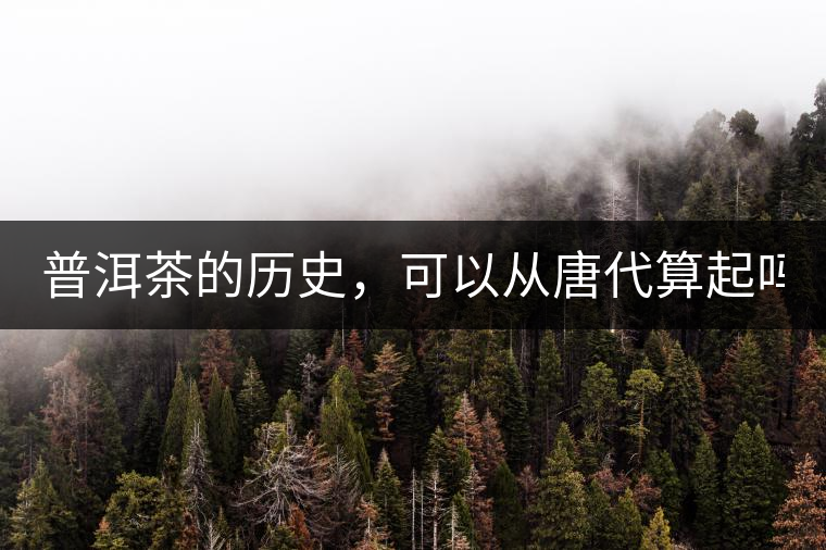 普洱茶的歷史，可以從唐代算起嗎？