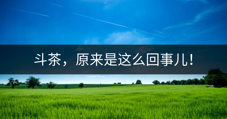 斗茶，原來(lái)是這么回事兒！