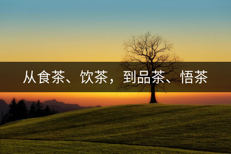 從食茶、飲茶，到品茶、悟茶