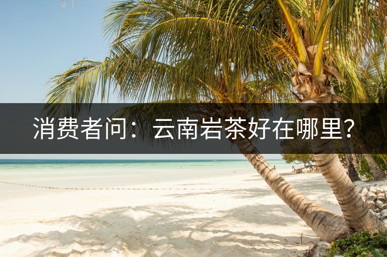 消費者問：云南巖茶好在哪里？