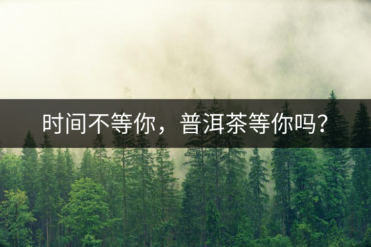 時間不等你，普洱茶等你嗎？