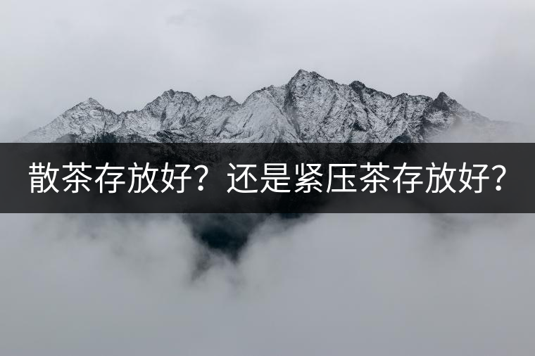 散茶存放好？還是緊壓茶存放好？