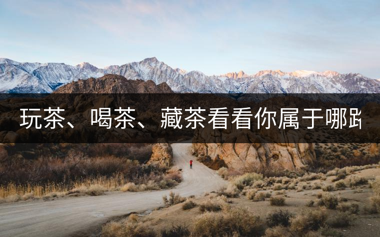 玩茶、喝茶、藏茶看看你屬于哪路茶神！