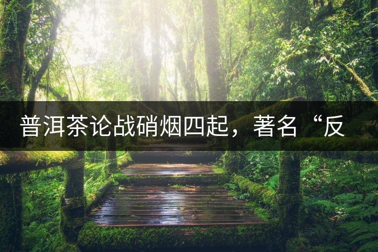 普洱茶論戰(zhàn)硝煙四起，著名“反偽斗士”司馬南有話說