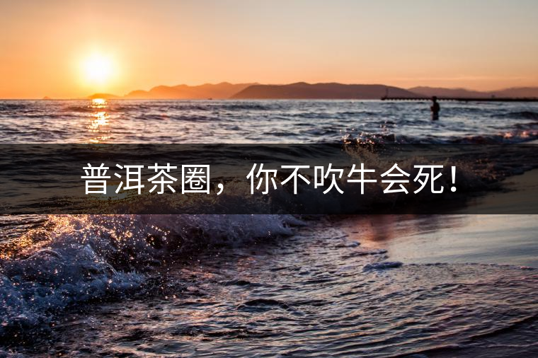 普洱茶圈，你不吹牛會(huì)死！