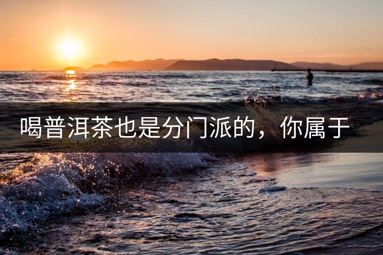 喝普洱茶也是分門派的，你屬于哪派呢？