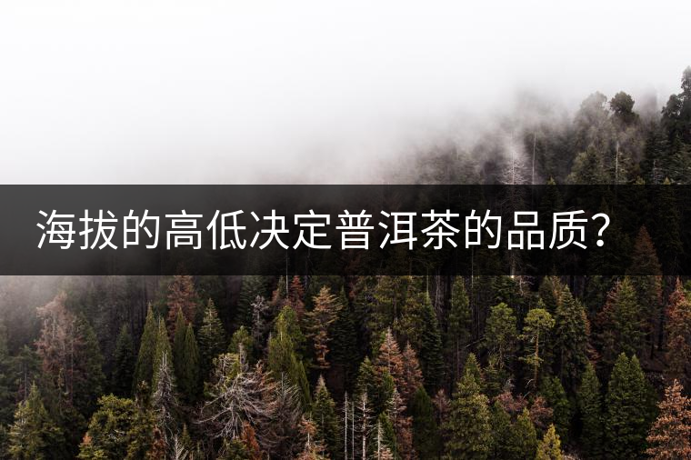 海拔的高低決定普洱茶的品質(zhì)？【附：名山頭茶海拔表】